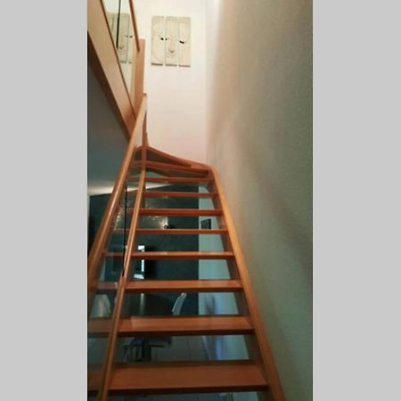 Superbe Duplex Au Nouveau Bassin Avec Vue Superbe Мюлуз Екстериор снимка