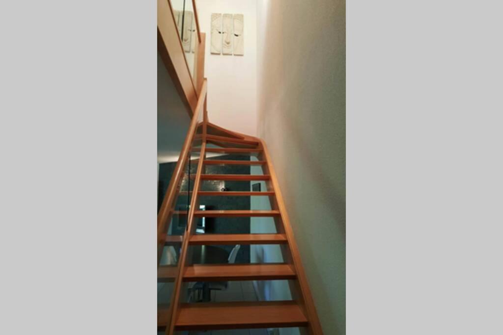 Superbe Duplex Au Nouveau Bassin Avec Vue Superbe Мюлуз Екстериор снимка
