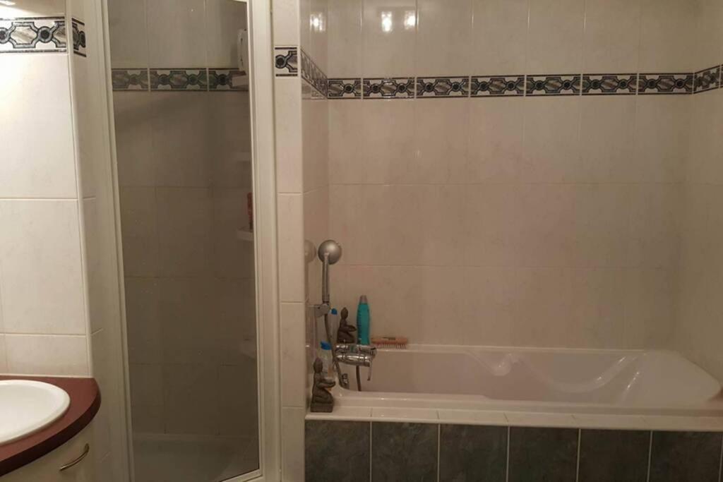 Superbe Duplex Au Nouveau Bassin Avec Vue Superbe Мюлуз Екстериор снимка